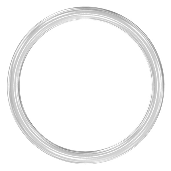 Ring | Außen-Ø: 144 mm | Materialstärke: 12 mm | V2A