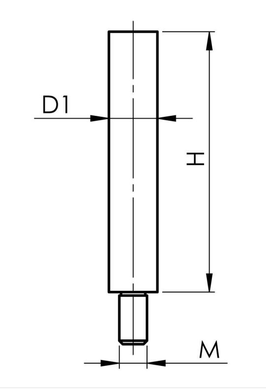 Gewindestift | Maße: 75x14 mm | mit Außen - und Innengewinde | V2A