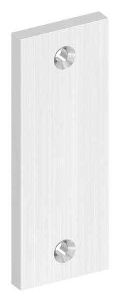 Kurzschild 32 x 87 x 6 mm für Schlosskästen