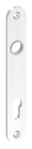 Langschild, Abmessung: 32 x 220 x 6mm, V2A