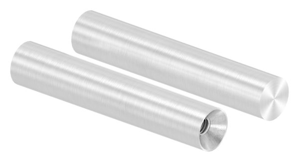 Stift | Maße: 75x14 mm | Innengewinde: M6x15 mm | zum Anschweißen | V2A
