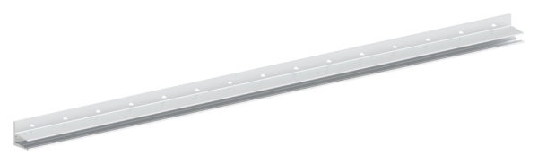 Vordachprofil eleganza canopy, L=3000mm, E4/EV1