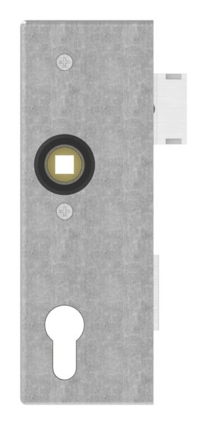 Kastenschloss Edelstahl 30 x 60 x 172 mm geschliffen- verzinktes Schloss-30-3200.8