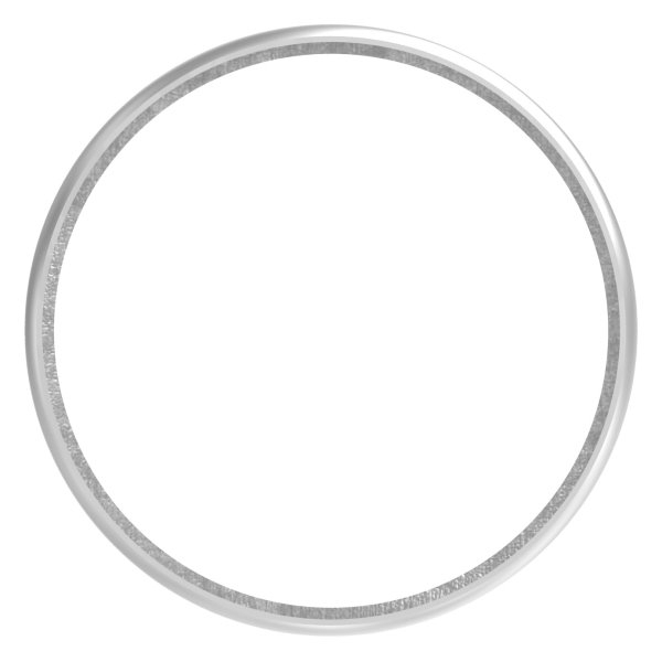 Ring für Rohr 48,3mm, V2A