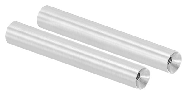 Stift | Maße: 100x14 mm | mit 2 Innengewinde: M6x15 mm | V2A