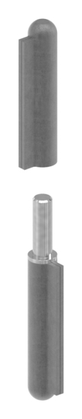 Anschweissband Stahl 2-teilig fester Zapfen Tragkraft 250 kg pro Paar-88-11425.17
