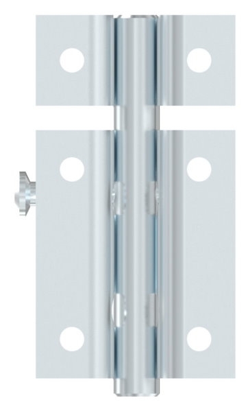 Torriegel - Laenge- 60 mm - verzinkt - zum Anschrauben-30-3855.8