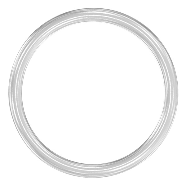 Ring | Außen-Ø: 120 mm | Materialstärke: 10 mm | V2A