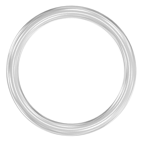 Ring | Außen-Ø: 124 mm | Materialstärke: 12 mm | V2A