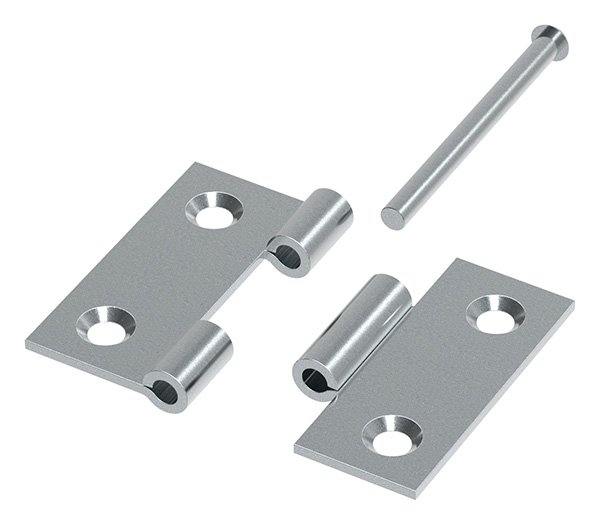 Scharnier 50 x 50mm mit herausnehmbaren Zapfen