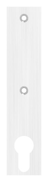 Langschild 32x156x6 mm V2A für Schlosskästen