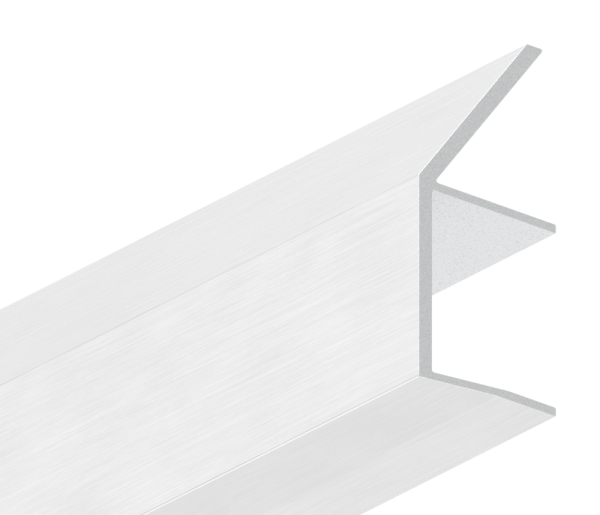 Regenrinne Aluminium eloxiert fuer Glas 21-52 mm L = 1800 mm Edelstahloptik E4-EV1-88-11VDE-RE-1800.21