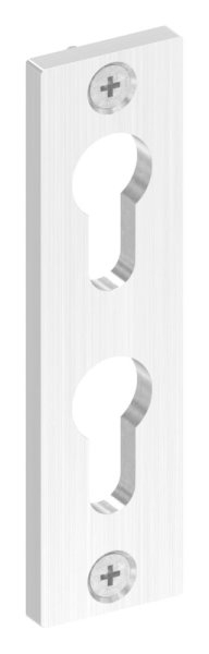 Zylinderrosette fuer zwei Profilzylinder- 32x120x6mm- V2A-88-1116063.240