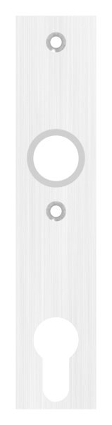 Langschild 32x156x6 mm V2A für Schlosskästen mit Stiftlochung V2A