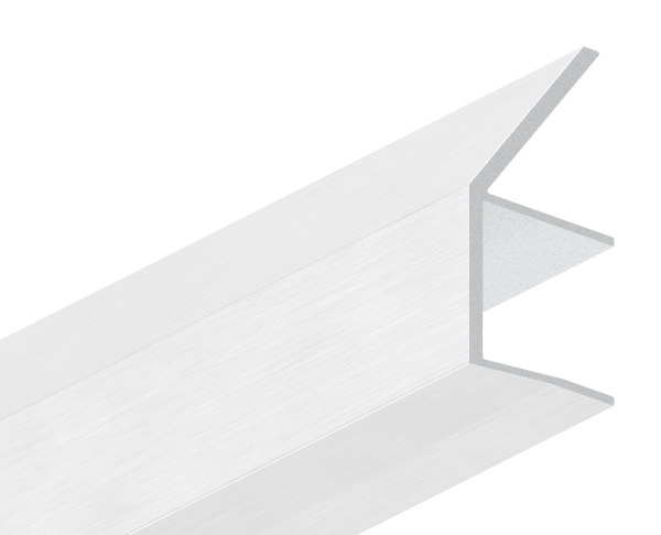 Regenrinne Aluminium fuer Glas 17-52 mm L=1600 mm eloxiert E4-EV1-88-11VDE-RE-1600.17