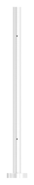 Geländerpfosten | für 2 Glasklemmen M8 | Länge: 880 mm | V2A
