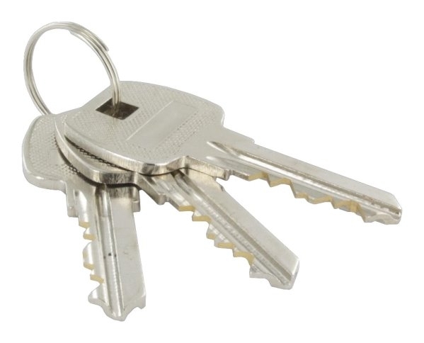 Zylinder Edelstahloptik 70 mm mit 3 Schluessel-11-3956.2