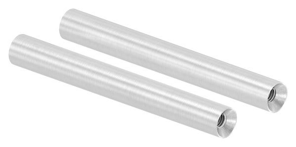 Stift | Maße: 100x12 mm | mit 2 Innengewinde: M6x15 mm | V2A