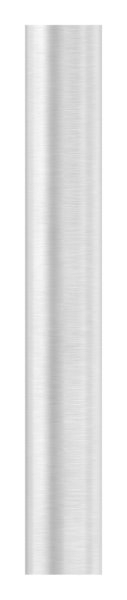 Stift | Maße: 100x14 mm | mit 2 Innengewinde: M6x15 mm | V2A