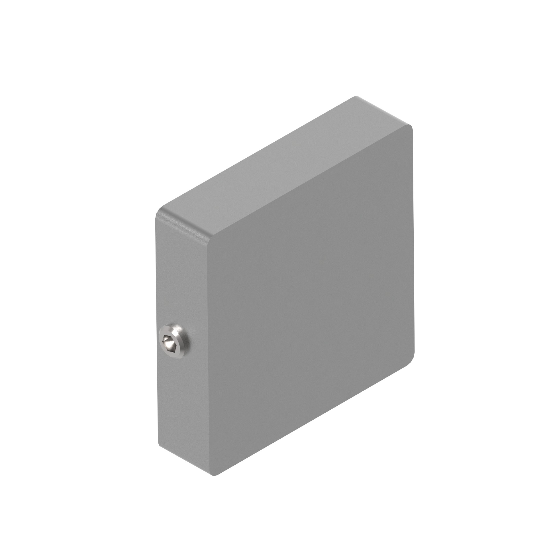 Glashalter Edelstahl AISI 304 fuer flache Pfosten- Modell 45-89-11A0745D30-A.4