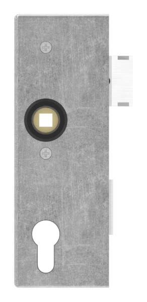 Schlosskasten - Masse- 173x60x40 mm - Dorn- 40 mm - Stahl -roh- S235 JR-30-3201.8