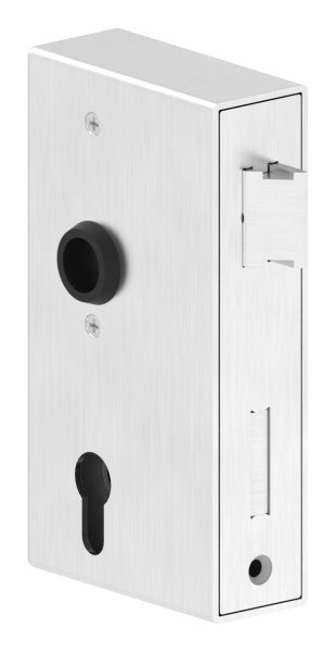 Schlosskasten 40x94-5x173 mm V2A-11-3904.4